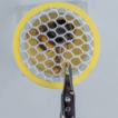 Case study of non-lethal sampling for ...